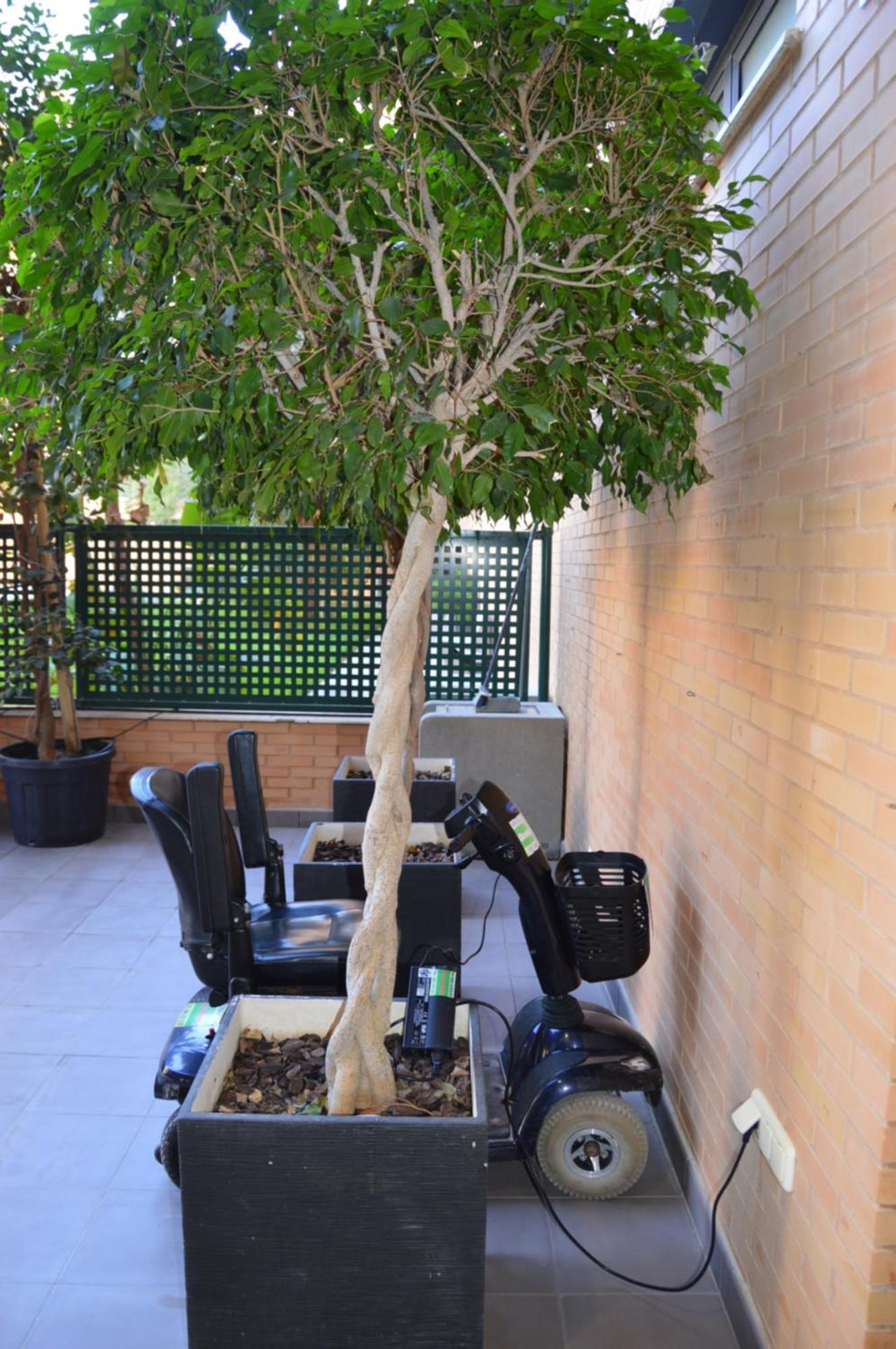 Albir Beach & Sun Apt El Albir Εξωτερικό φωτογραφία